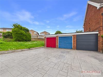 Picture 20